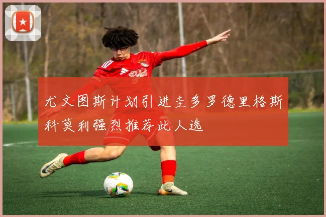 尤文图斯计划引进圭多罗德里格斯科莫利强烈推荐此人选