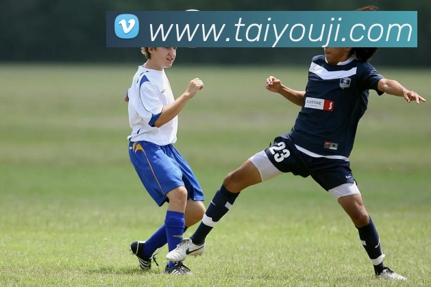 多媒体互动体验